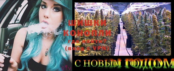гашик Богородицк