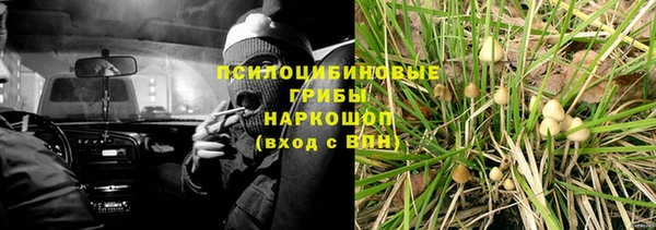гашик Богородицк