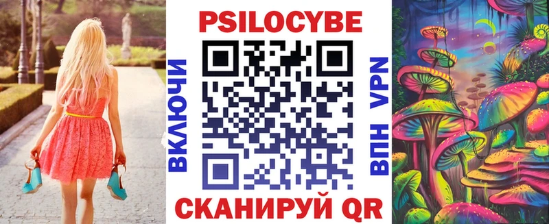 Купить закладки  Пудож  Псилоцибиновые грибы Psilocybe 